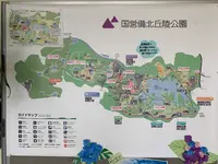 国営備北丘陵公園の写真・動画_image_371987