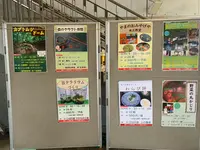 国営備北丘陵公園の写真・動画_image_371988