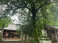 熊野神社の写真・動画_image_372010