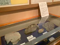 みよし風土記の丘の写真・動画_image_372023