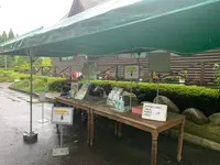 湧永満之記念庭園の写真・動画_image_372050