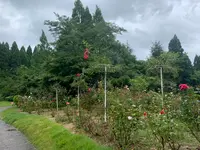 湧永満之記念庭園の写真・動画_image_372051