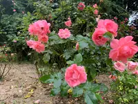 湧永満之記念庭園の写真・動画_image_372053