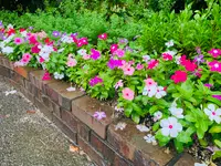 湧永満之記念庭園の写真・動画_image_372055