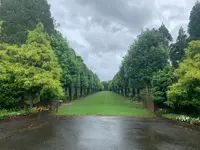 湧永満之記念庭園の写真・動画_image_372057