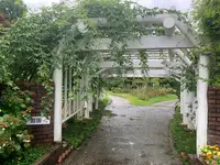 湧永満之記念庭園の写真・動画_image_372061