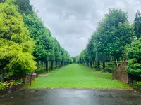 湧永満之記念庭園の写真・動画_image_372067