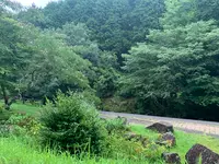 ほたる見公園の写真・動画_image_372119