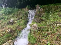 ほたる見公園の写真・動画_image_372122