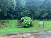ほたる見公園の写真・動画_image_372123