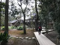 下鴨神社（賀茂御祖神社）の写真・動画_image_372216