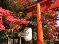 下鴨神社（賀茂御祖神社）の写真・動画_image_372217