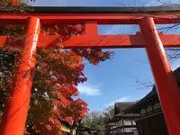 下鴨神社（賀茂御祖神社）の写真・動画_image_372219