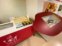 やきいもファクトリーミュージアムの写真・動画_image_372243