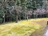 高桐院の写真・動画_image_372350