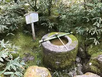 高桐院の写真・動画_image_372362