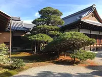 金閣寺（鹿苑寺）の写真・動画_image_372372