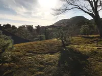 金閣寺（鹿苑寺）の写真・動画_image_372373