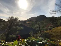 金閣寺（鹿苑寺）の写真・動画_image_372376