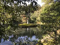 金閣寺（鹿苑寺）の写真・動画_image_372377