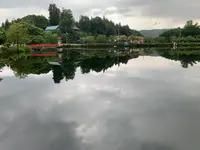 上野池の写真・動画_image_372647