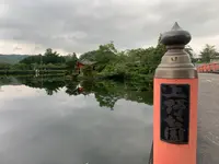 上野池の写真・動画_image_372648