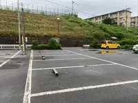 上野池の写真・動画_image_372651