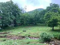ひろしま県民の森の写真・動画_image_372674