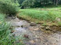 ひろしま県民の森の写真・動画_image_372675