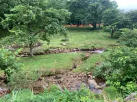 ひろしま県民の森の写真・動画_image_372677