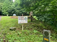 熊野の大トチの写真・動画_image_372682