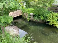 神楽門前湯治村の写真・動画_image_372759