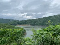 土師ダムの写真・動画_image_372767
