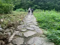 三段峡の写真・動画_image_372809