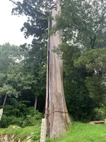 福成寺の写真・動画_image_372868