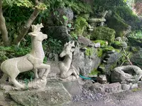 福成寺の写真・動画_image_372873