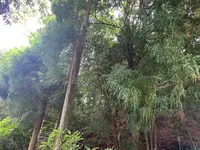 福成寺の写真・動画_image_372876