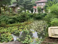 福成寺の写真・動画_image_372880