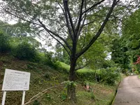 福成寺の写真・動画_image_372881