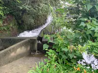吾妻子の滝の写真・動画_image_372886