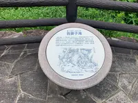 吾妻子の滝の写真・動画_image_372888