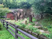 吾妻子の滝の写真・動画_image_372890