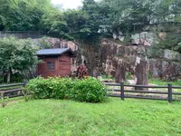 吾妻子の滝の写真・動画_image_372892