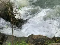 武士の滝の写真・動画_image_372894