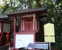 津島神社の写真・動画_image_372911