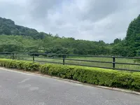 鏡山公園の写真・動画_image_373055