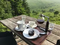 ころぼっくるひゅっての写真・動画_image_373614