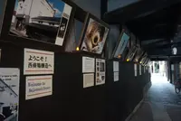 西條鶴醸造の写真・動画_image_373640