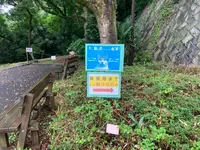 松山総合公園の写真・動画_image_373686