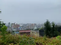 松山総合公園の写真・動画_image_373692